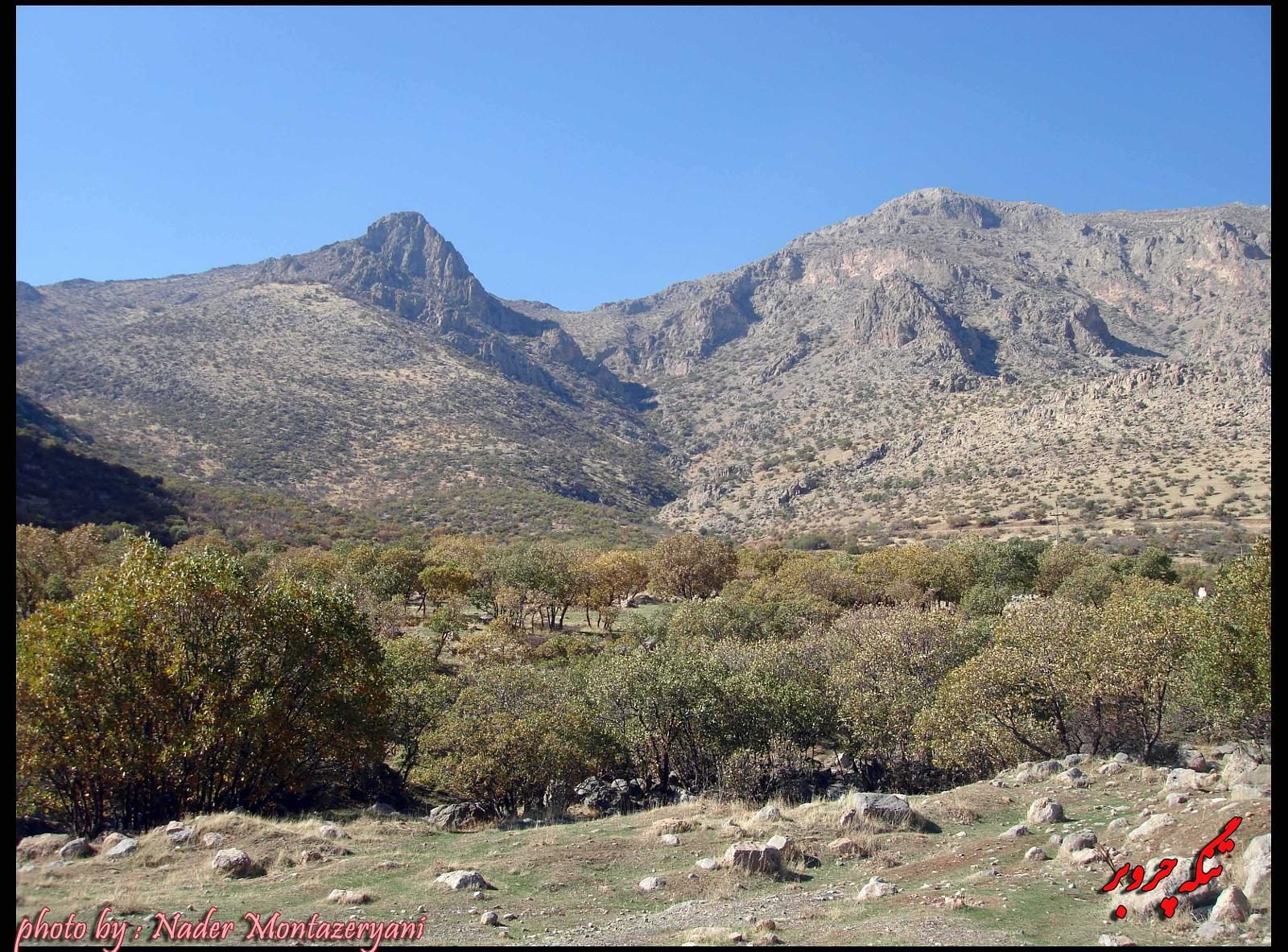 امسال نمی گذاریم کوه پراو از آتش سوزی ها آسیب ببیند