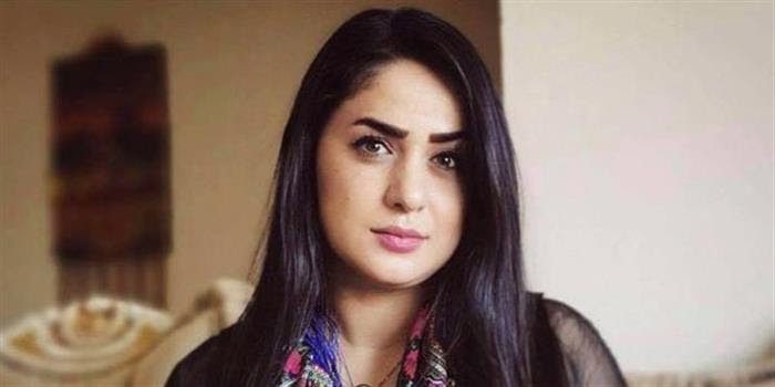 انتقاد از تصمیم استاندار اربیل در تعیین پرداخت مبلغی برای ورود به این استان