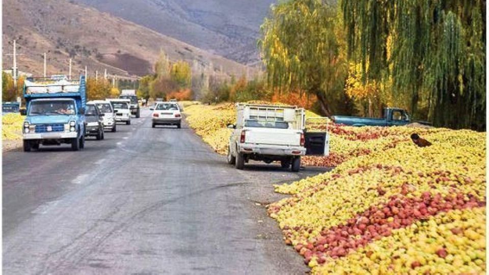فصل برداشت سیب و داستان تکراری دپو جاده ایی!