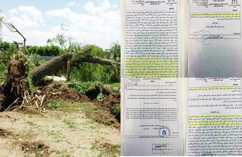 رای دیوان عالی کشور در خصوص پارک «فرهنگ» پیرانشهر مردود است