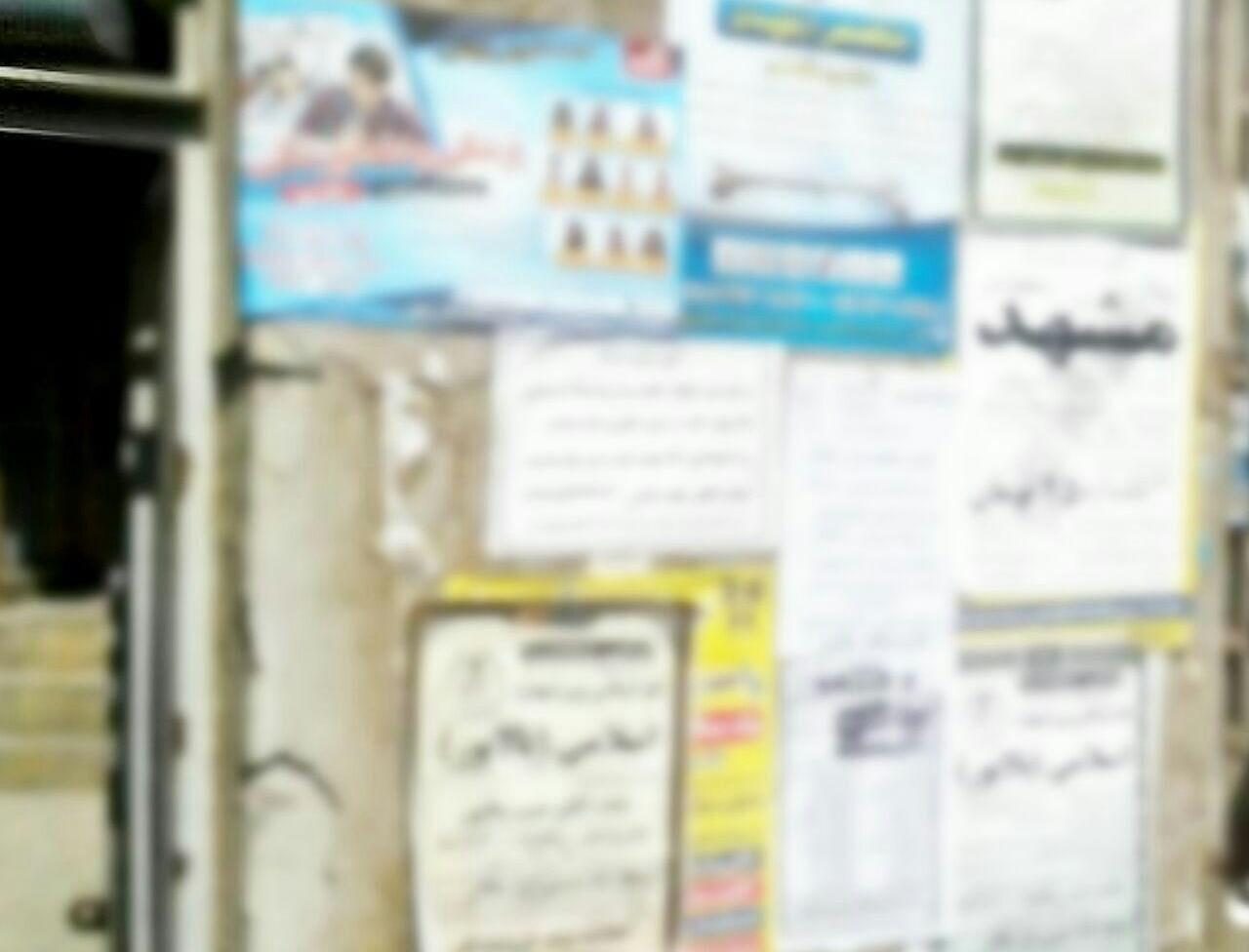 ارائه دلایل مرگ؛ ترس از شرمساری/ احمد غلامی