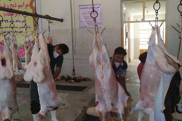 ذبح ۴۱۰ رأس دام برای توزیع بین نیازمندان ایلام