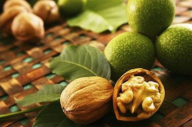 پیش بینی برداشت 8 هزار تن گردو در آذربایجان غربی