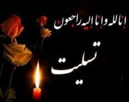 بهورز سلماسی شهید مدافع سلامت شد