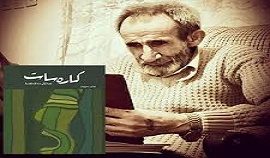چند صباحی با جلال ملکشاه کردستانی/ محمدهادیفر