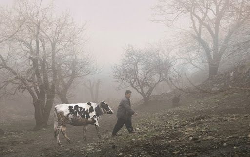 فیلم کارگردان کردستانی برنده  جایزه  جشنواره هنک‌کنگ
