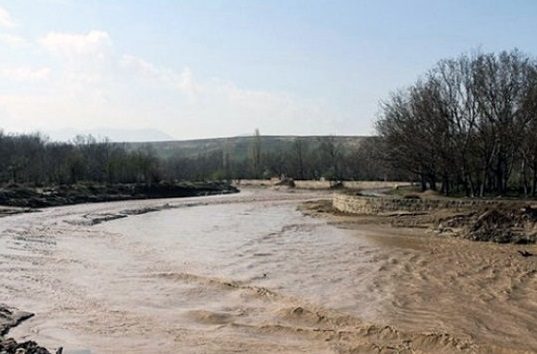۵۲ راس گوسفند در مهران بر اثر بارندگی تلف شدند