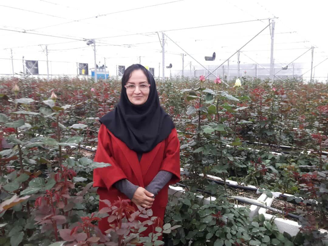 توسعه کشت گلخانه ای نیازمند برنامه ریزی و حمایت دولت / بازار عراق را تقدیم ترکیه کرده ایم