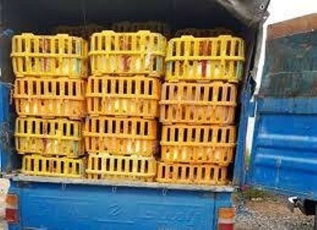 توقیف بیش از هزار قطعه مرغ زنده فاقد مجوز در مهاباد