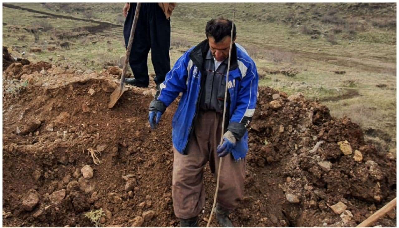 آسیب‌دیدگی شدید یک فعال محیط زیست در پاوه