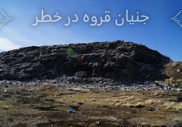 جنیان در خطر