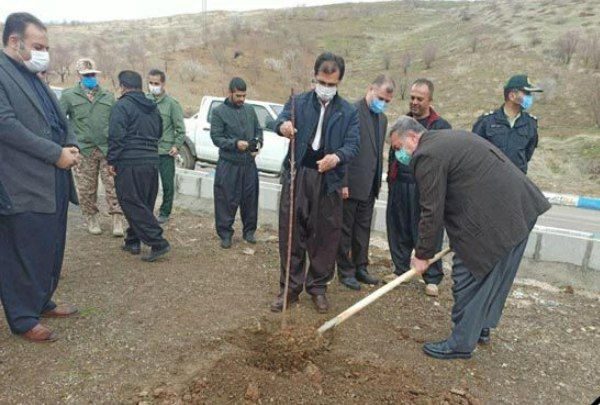 توزیع ۳۴۰۰ اصله نهال توسط  منابع طبیعی پاوه در آئین روز درختکاری
