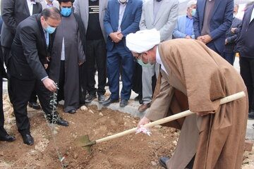 درختکاری در نوار مرزی ایلام افزایش یابد