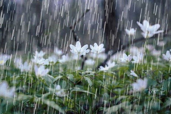 آذربایجان غربی دوباره بارانی می شود