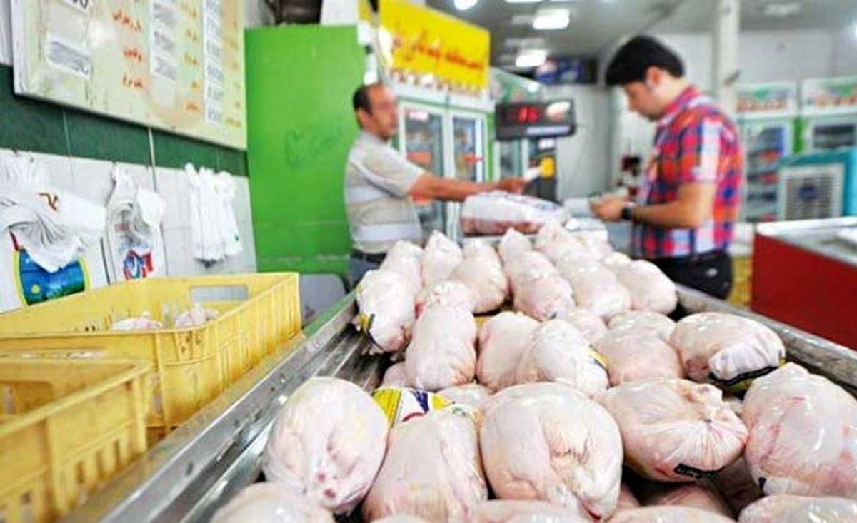 دولتی که نتوانست پای مرغ را ببندد