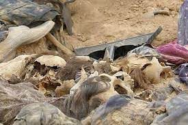 احزاب سیاسی اقلیم کردستان فقدان متهمین به انفال کردها در میان اعضای خود را اثبات کنند