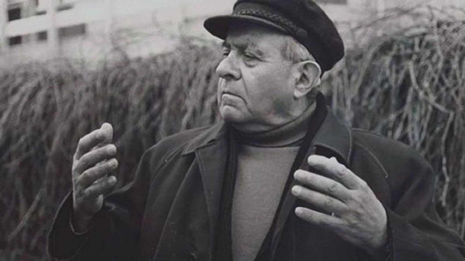 احمد عارف شاعر آناتولی