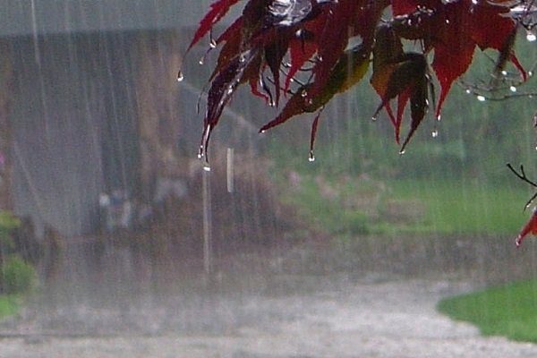 بارش های پراکنده آسمان کردستان را در بر می گیرد