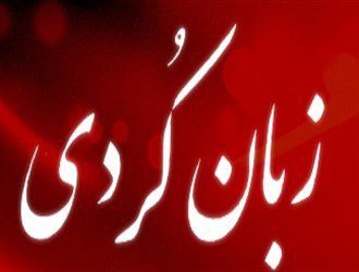 آیا روزی به نام روز زبان کردی ثبت شده است؟/ منصور رحیمی