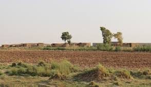 Baghdad suspends agricultural land contracts in Kirkuk