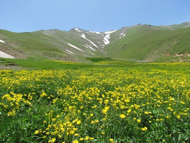 دست اندازی به مناطق حفاظت شده به طمع استخراج سنگ و طلا/تهدید فروش کوه ها و تالاب ها