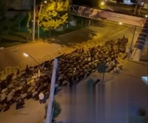 چرای گوسفندان در معابر شهری مهاباد دوباره تکرار شد!