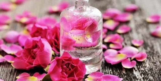 سومین جشنواره گلاب گیری در خوی برگزار شد