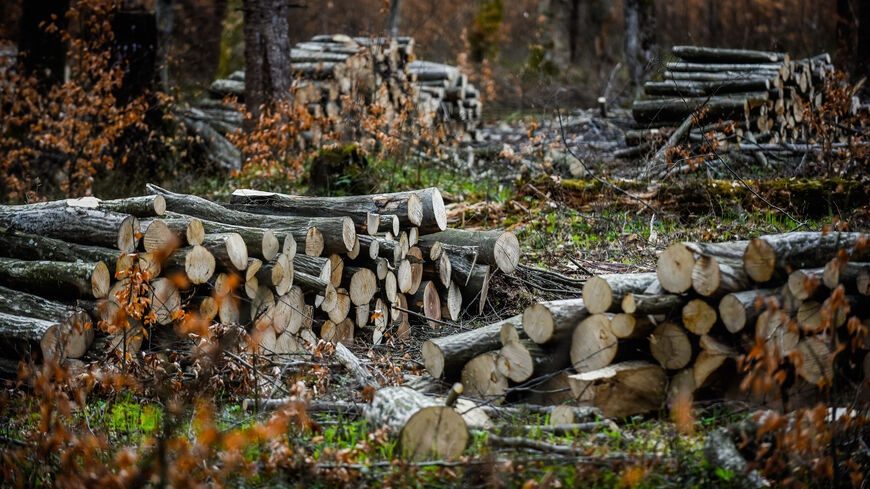 Massive Turkey-led logging in Iraqi Kurdistan causes outcry / Fehim Tastekin