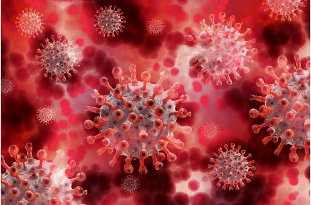 بستری شدن 151 بیمار جدید مبتلا به کرونا در آذربایجان غربی