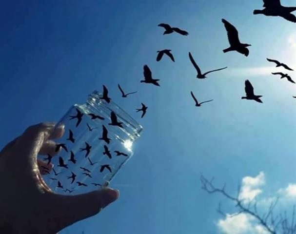 ۱۵۶ نفر از زندانیان آذربایجان غربی حکم آزادی دریافت کردند