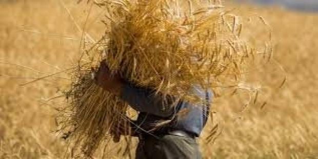 این خبر هولناک است و بی خیالی شما هولناک تر آقایان/ منصور اولی