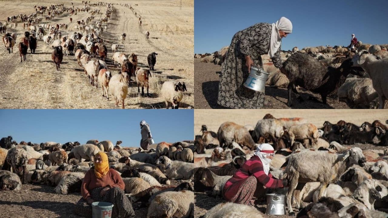 از ترکیه چه خبر؟ (6 تیر 1400)