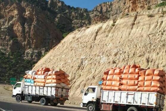 دادستان کرمانشاه خروج کاه و کلش را از استان ممنوع کرد