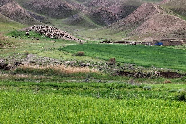 اختلافات ملکی یکی از علتهای نزاع های طایفه‌ای در ایلام / مشکل ۳۰۰ ساله مرتع و چراگاه