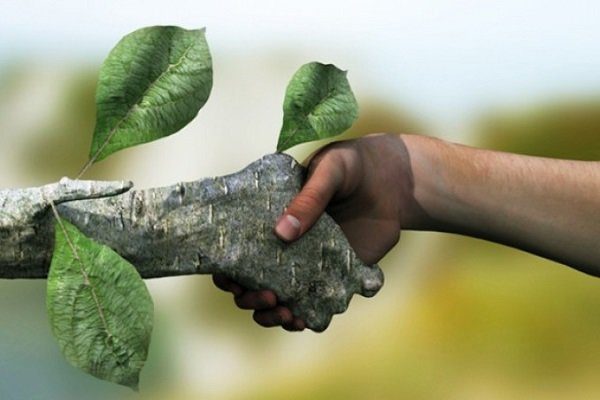 بیش از ١٩ هزار نفر در آذربایجان غربی همیار طبیعت هستند