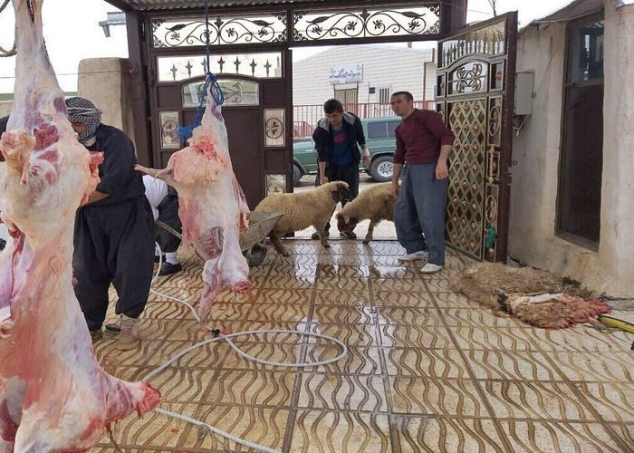 شهروندان از خرید گوشت‌های خارج از شبکه نظارت دامپزشکی خودداری کنند