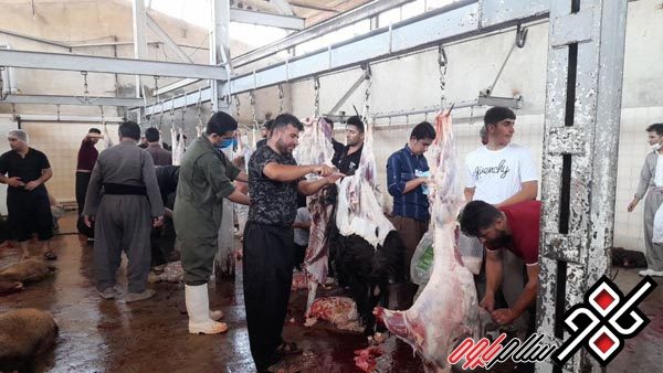 قربانی کردن ۴۵۵ راس دام در بانه وره پاوه