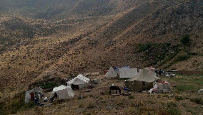 نظامیان ترکیه به سمت یک چوپان و رمه اش آتش گشودند
