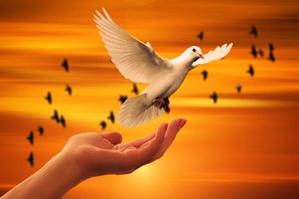 متهم جوان محکوم به قصاص در خوی پای چوبه دار بخشیده شد
