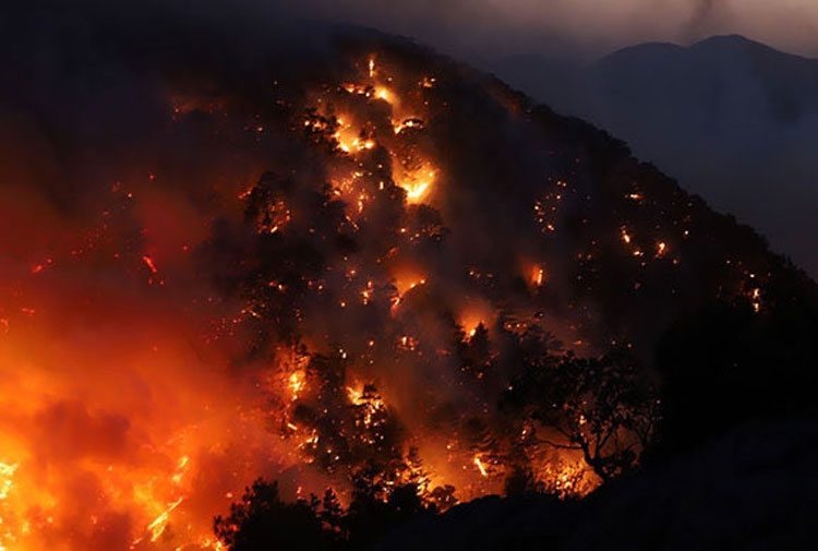 از ترکیه چه خبر؟ (7 مرداد 1400)