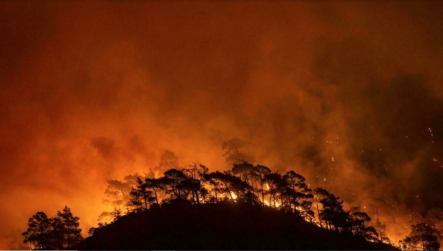 KCK denies Turkey allegation over setting forests on fire