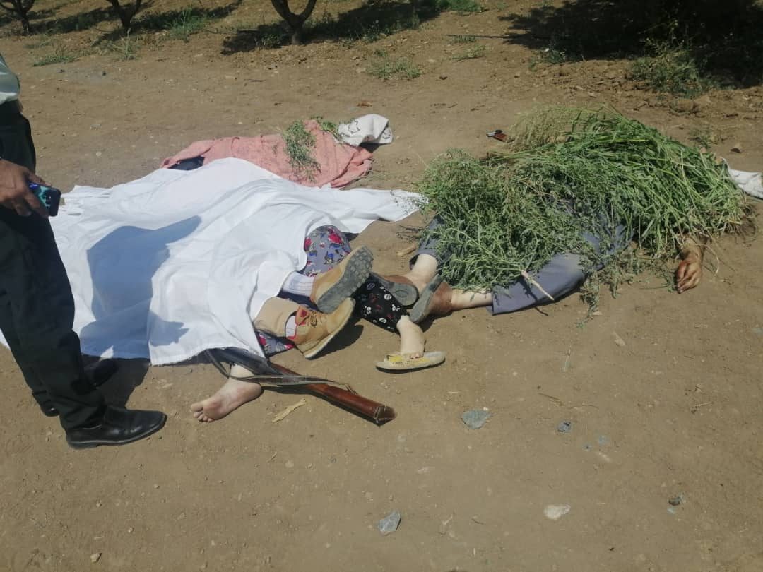 قتل عام خانواده همسر توسط داماد عصبانی