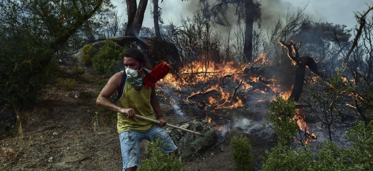 Wildfires rage on in five provinces in Turkey