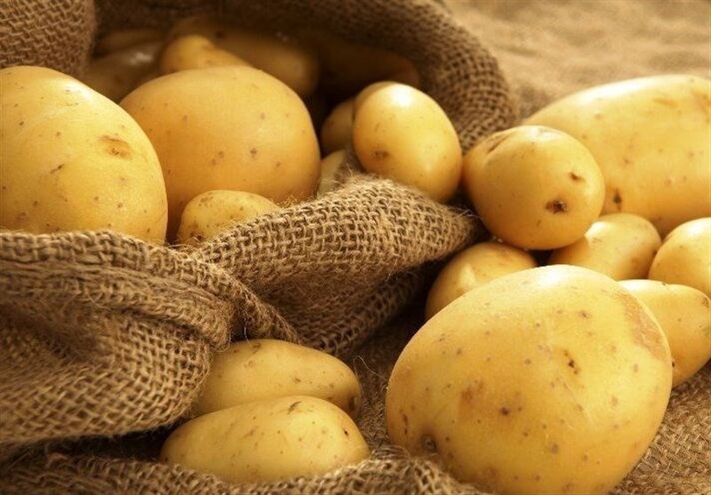 خشکسالی کشت سیب زمینی در آذربایجان غربی را کاهش داد