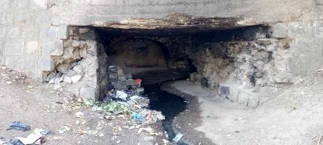 زندگی در دخمه متعفن/ تشکیل پرونده قضایی برای فرد حیوان آزار در مهاباد