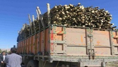 کشف 10  تن چوب قاچاق در روانسر