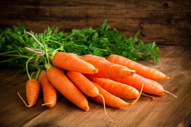 آغاز برداشت هویج از مزارع آذربایجان غربی/ قیمت محصول تابع عرضه و تقاضا