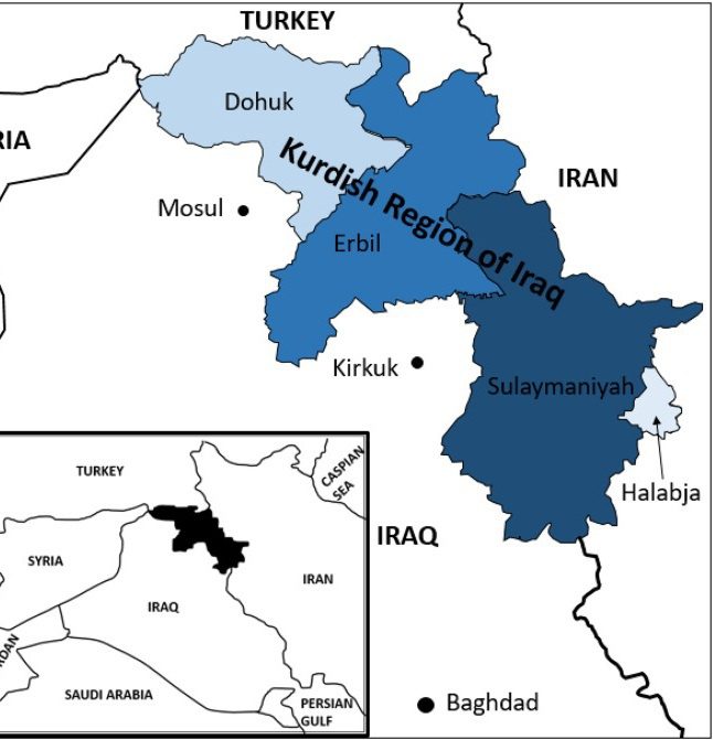 Germany, Britain and US are seeking to free Peshmerga forces from party affiliation: British MP