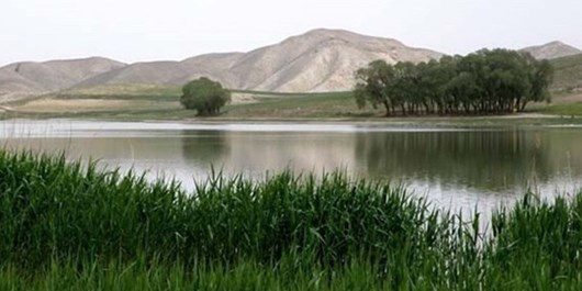 ساختمان محیط بانی در تالاب نوروزلوی میاندوآب باید احداث شود
