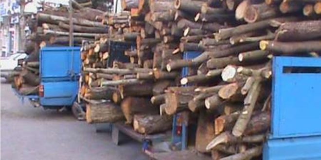کشف 5 تن چوب قاچاق در ثلاث باباجانی